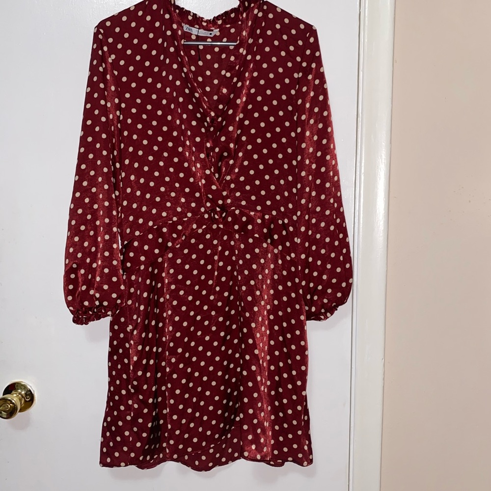 Zara Polka Dot Dress